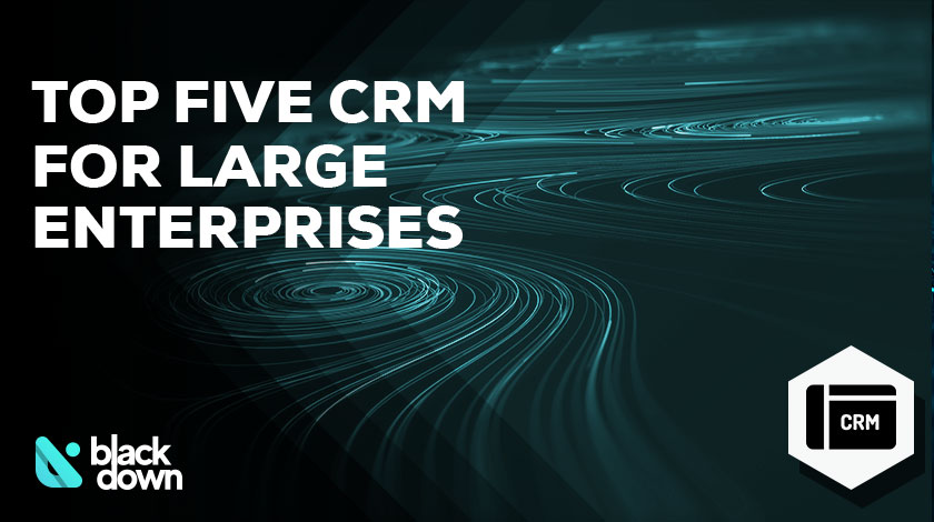 Best crm for large business