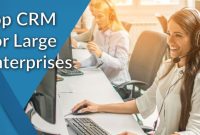 Best crm for large business